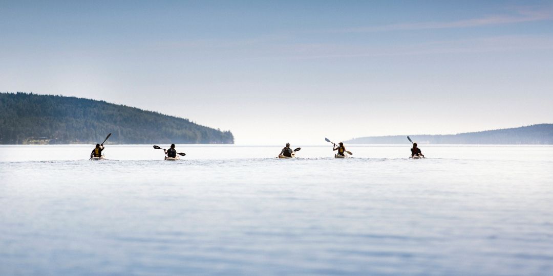 fem båtar som paddlar